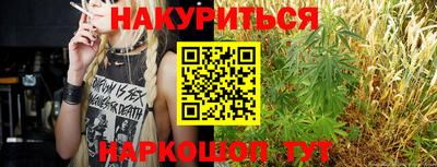индика Дубна