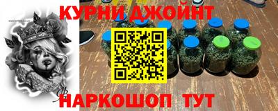 индика Дубна
