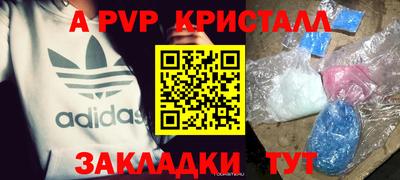 индика Дубна