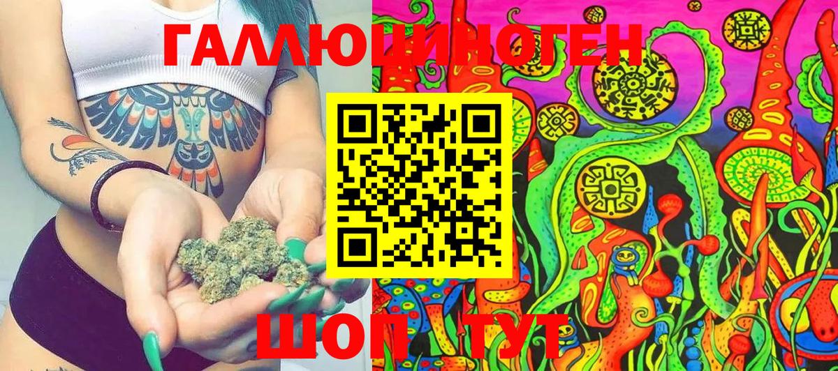 Чехов  Псилоцибиновые грибы Cubensis  Вход с VPN 